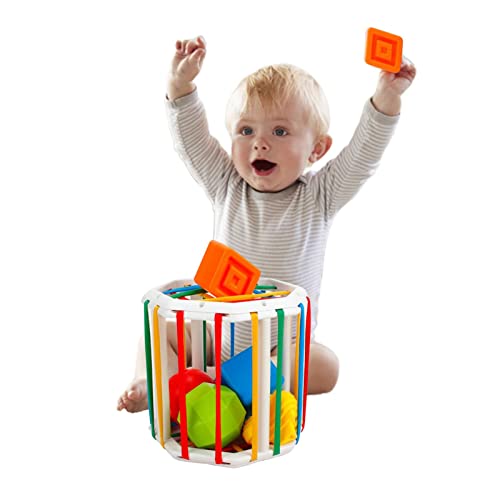 Brinquedos Montessori para 1 2 Anos Crianças Bebês Meninos Meninas - Classificação ForBebê | Cubo colorido por mais 12 meses com elásticos, classificador formas, brinquedo