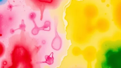 Círculo cromático ou círculo de cores o que é? Círculo cromático ou círculo de cores o que é?