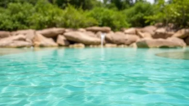 Gelagua consome muita energia: como economizar na conta de luz? Gelagua consome muita energia: como economizar na conta de luz?