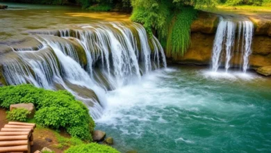 Descubra Quanto Custa para Limpar uma Fossa no Brasil