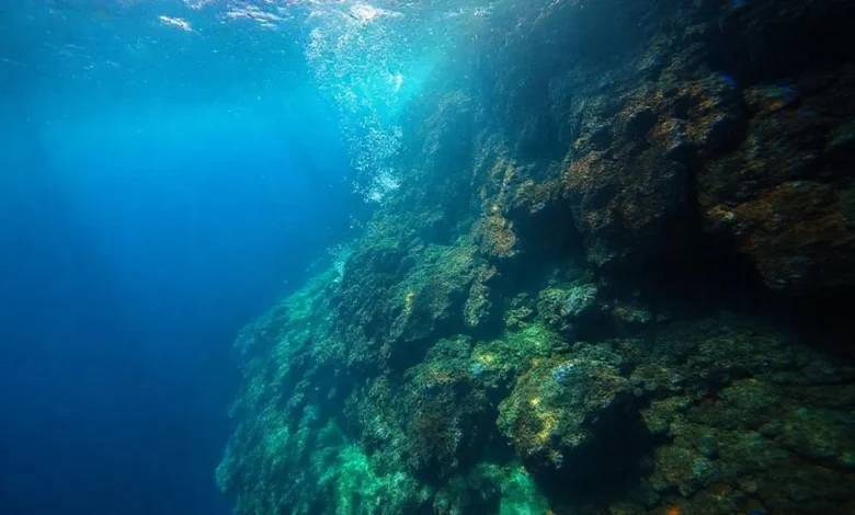 Fossa das Marianas: Tudo Sobre o Lugar Mais Profundo dos Oceanos Fossa das Marianas: Tudo Sobre o Lugar Mais Profundo dos Oceanos