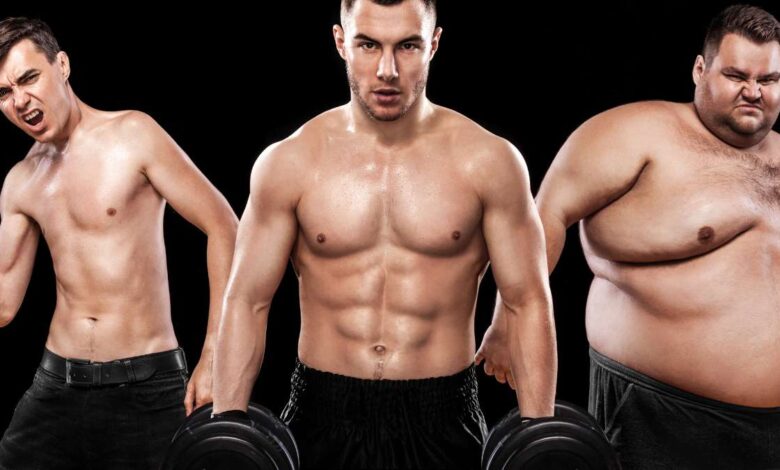 Como saber se você é ectomorfo mesomorfo ou endomorfo