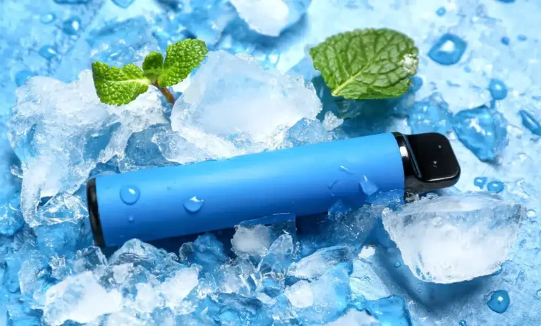 Vaporizadores de Ervas de Entrada: Opções Baratas para Iniciantes Vaporizadores de Ervas de Entrada