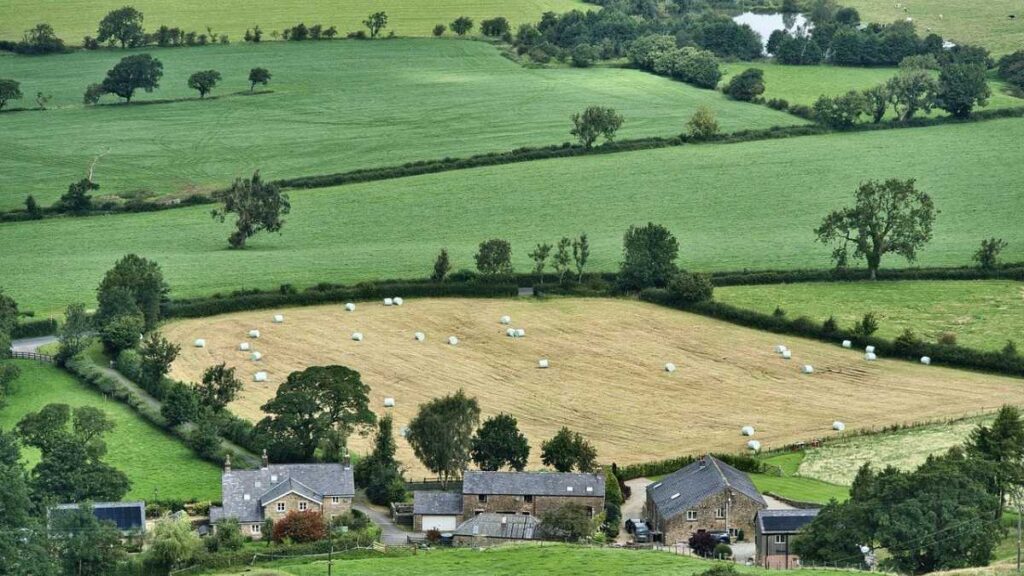 Como Funciona um Empréstimo para Produtor Rural