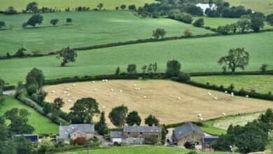Como Funciona um Empréstimo para Produtor Rural