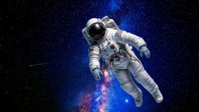 Um currículo de outro planeta? NASA se pronuncia sobre a "astronauta" brasileira