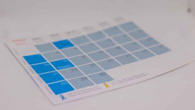 Os feriados restantes que vão animar seu ano; confira quais são - Quais feriados ainda restam para fechar o ano de 2025 com chave de ouro? Será que dá para relaxar muito ainda ou não vamos comemorar tanto assim; veja mais.