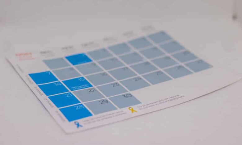 Os feriados restantes que vão animar seu ano; confira quais são - Quais feriados ainda restam para fechar o ano de 2025 com chave de ouro? Será que dá para relaxar muito ainda ou não vamos comemorar tanto assim; veja mais.