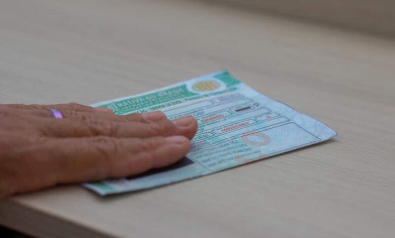 transporte de cachorro no carro pode afetar a CNH - Costuma colocar animais dentro do seu carro e sair por aí? É melhor você ficar de olho na regra que pode suspender sua CNH.