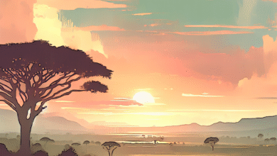 Árvore africana que armazena água é cultivada no Brasil -