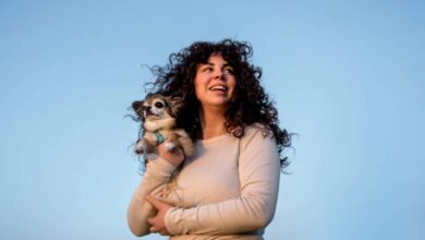 Seu cachorro tem um "GPS do amor"? O ponto EXATO que ele toca para te escolher como favorito