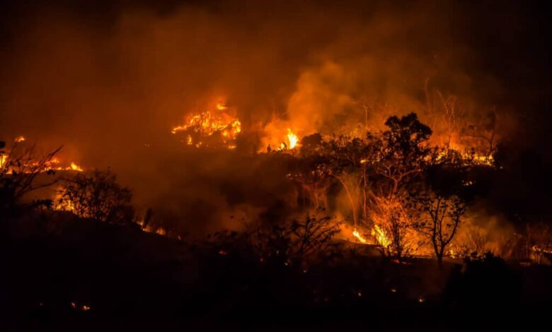 Brasil desenvolve sistema no céu que prevê incêndios com 99% de acerto - Brasil cria "olho mágico" no céu que prevê fogo com 99% de acerto!