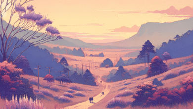 rota das lavandas brasileiras se torna atração turística - rota das lavandas brasileiras se torna atração turística -