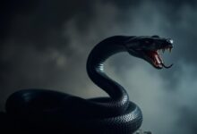 significado sonhar cobra picando