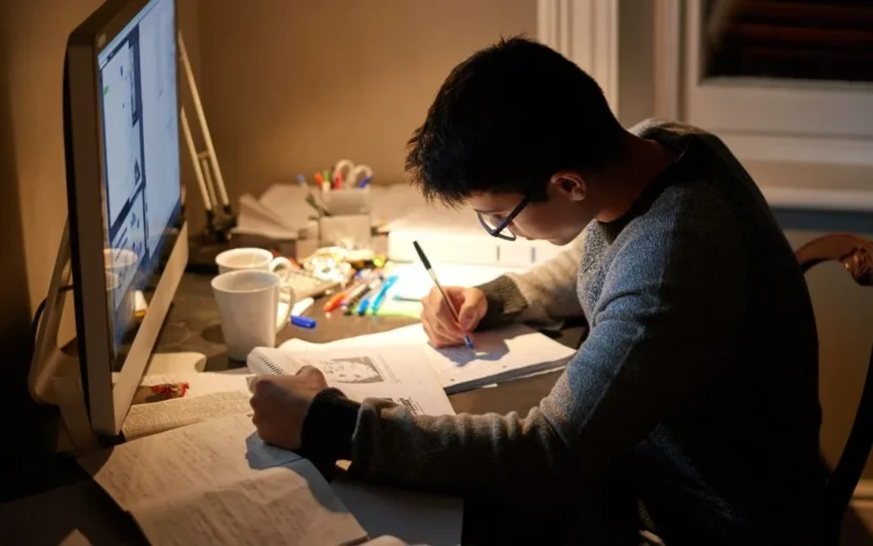 Como usar o Anki para estudar